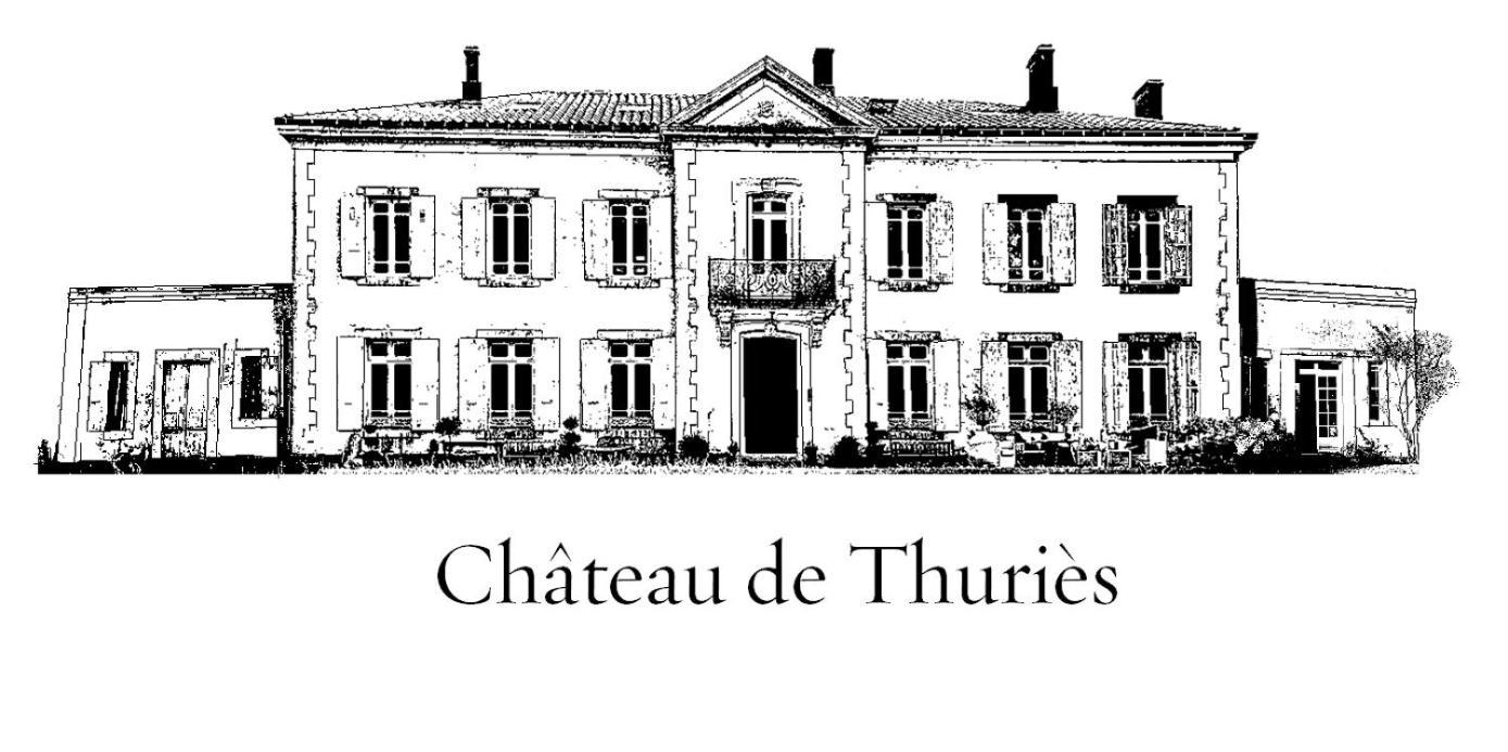 Chateau De Thuries Villa Revel  Exterior photo